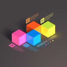 Business Infographics cube N2
