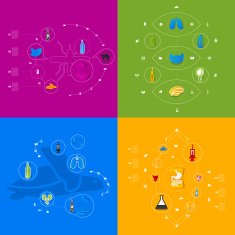 Set of veterinary icons N3
