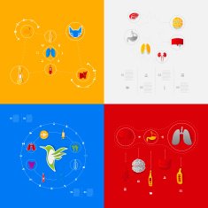 Set of veterinary icons N4