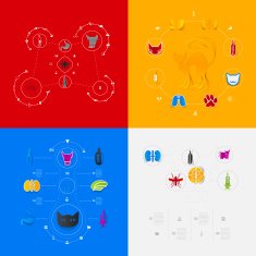Set of veterinary icons N6