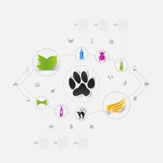 Set of veterinary icons N29