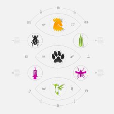 Set of veterinary icons N32