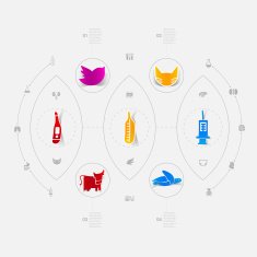 Set of veterinary icons N33