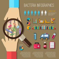 Bacteria Infographics Set