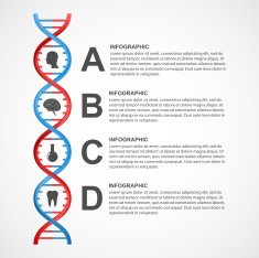 DNA science infographics Vector design element N2