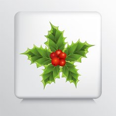 Square Icon With Holly Sprig Star and Red Berries N3