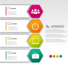 Business infographic design N181