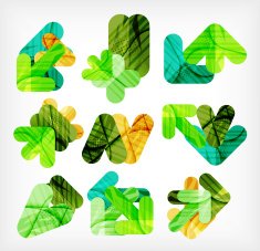 Collection of infographic option layouts N10