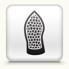 Square Button with Crystal & Minerals interface icon