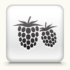 Square Button with Two Raspberries