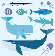 Sea vector set N2