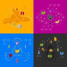 Set of veterinary icons N56