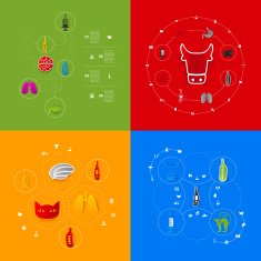 Set of veterinary icons N65