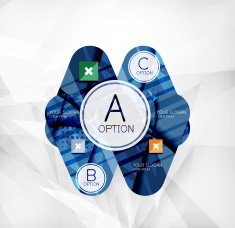 Modern infographic option layout N56