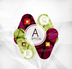 Modern infographic option layout N113