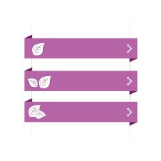 Infographic Options Banner N5
