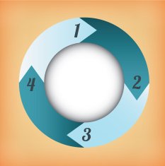 Infographic Design N147