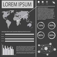 Infographic N306