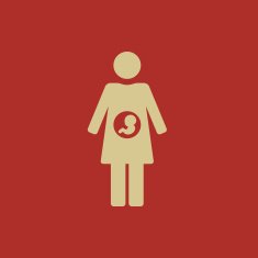 Maternity Flat Icon N19