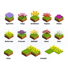Set of Isometric Tiles Flowers