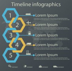 timeline infographics for shipping company