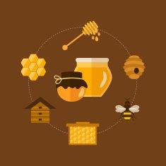 Flat design vector concept illustration with icons of products bee N6