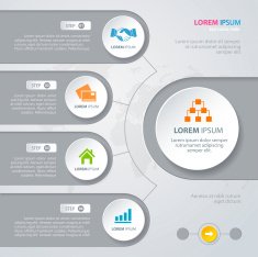 Infographic N308