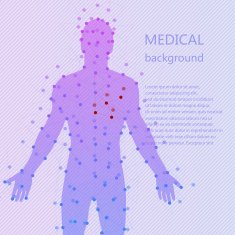 Medical background Human anatomy N2