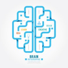 infographics vector blue paper brain design diagram N2