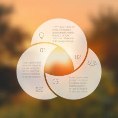Circle line infographic N6