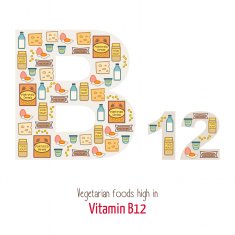VItamin B12 vegetarian
