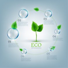Infographics Bio Bubble N2