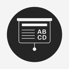 Presentation Icon N13