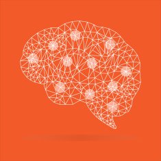 Brain Polygonal vector N2