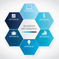 Modern Infographic N13