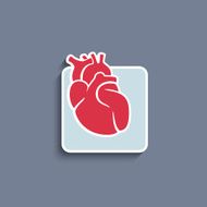 Vector paper-cut icon with human organ heart