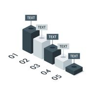 Business Isometric Infographic Chart Template Layout for Present