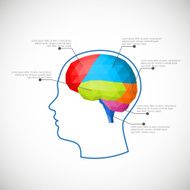 Infographic element - polygonal brain Vector illustration N3