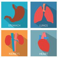 Icon set of human internal organs
