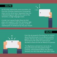 Vector flat illustration Selfie infographic web template
