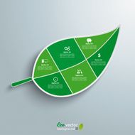 Big Green Leave Infographic