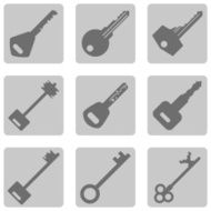 Vector Set of Keys Icons N16
