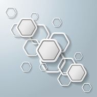 White Hexagons Infographic