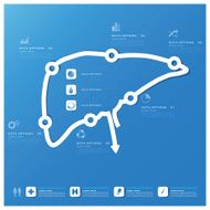 Liver Shape Business And Medical Infographic Design Template N2