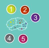 infographic brain concept