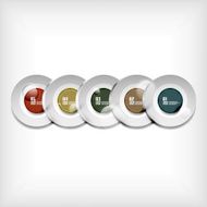 Circles infographics modern design