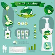 Cucumber infographics vector illustration