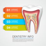 Dentistry info medical art