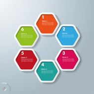 6 Colored Hexagon Infographic