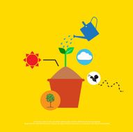 infographics tree vector